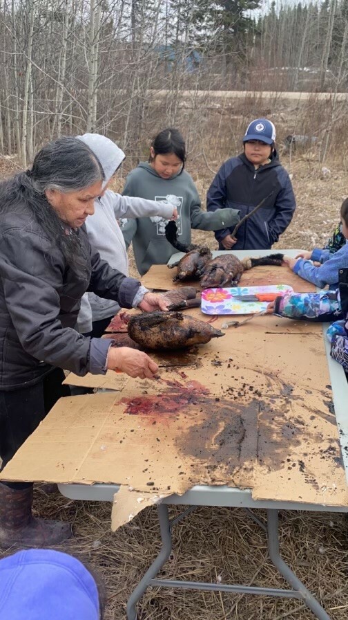 Image of Elder Christina Spence teaching children from Thunderbird School in South Indian Lake, MB how to harvest goose